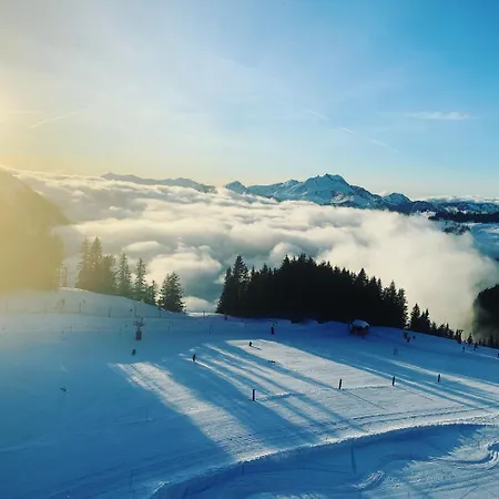 T2 Vue Magnifique La Falaise Apartment Avoriaz